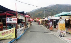[임영호의 섬진강 따라 남도 600리] ②그곳엔 사람 사는 이야기가 있다