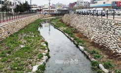 성정천 생태하천 복원사업 완료