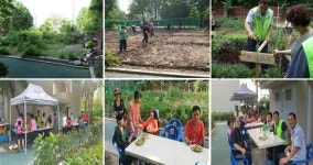 주택관리공단 대전둔산3 관리사무소 텃밭 가꿔 사랑실천 눈길