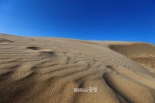 태안군 신두리 해안사구, 448억원 투입 생태복원