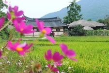 [포토뉴스]추석여행…아산 민속외암마을로 고고~~