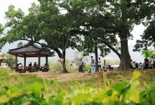 [포토뉴스]추석여행…아산 민속외암마을로 고고~~