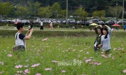 장동계족산에서 코스모스와 힐링의 대화를