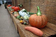 대한민국 대표 호박 충남 당진에 모여