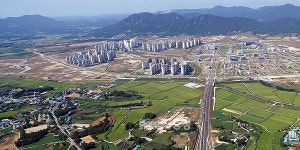 내포신도시 축산악취 대책에 27억 투입 전망