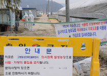 천안 풍세면 오리농장서 AI 의심신고