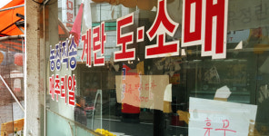 [커버스토리] ④ 한 판에 1만 원… 계란이 황금알 됐다