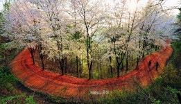 장태산휴양림, 계족산황톳길 한국관광 100선 선정