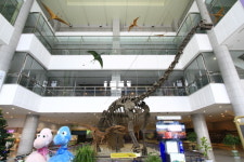 완벽한 겨울여행을 위한 10가지 코스·맛집 ⑨충남 보령·공주·아산