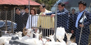 이석화 청양군수, 영농 현장서 해법 모색