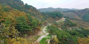 공주시, 4억 들여 금계산 임도 2km 추가 개설