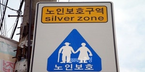부여군, 노인보호구역 지정으로 안전 확보