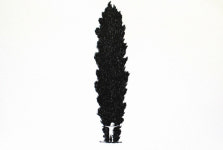 어루만지다… 강철규 작가 네 번째 개인전