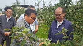 충남농협, 지난 5월 우박피해 과수농가에 위로