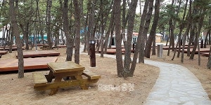 대천해수욕장 더 좋아졌네 편의시설 대폭 확충