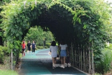 주말 비 소식...아산 신정호수 연꽃 속 망중한(忙中閑)