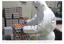 살충제 계란 - 박근혜 정부 무사안일