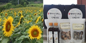 서천군 흥림마을에 활기 넘치는 이유