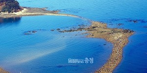 무창포 신비의 바닷길서 조개·맛살 잡아볼까?