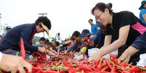 고추는 역시 청양 20만 몰린 고추·구기자축제