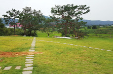 풍경이 더해지니 커피맛이 그뤠잇