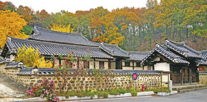 [우리고장 대전(大田) 이야기] 국토의 중심 대전, 사림의 본거지로 성장하다
