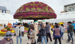 금산세계인삼엑스포의 추억, 사진으로 남겨요