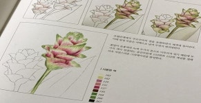 『보태니컬 아트』 - 나도 화가가 될 수 있다?!