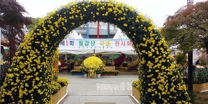 청양군 제2회 칠갑산 국화전시회 열려