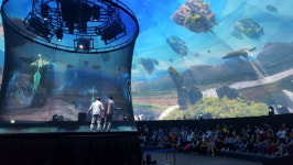 금산세계인삼엑스포 32일 대장정 마무리… 275만 명 운집