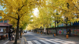 도심에 이런 곳이?… 가을에 걷기 좋은 여행길 10선