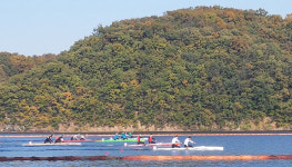 서산시,제98회 전국체육대회서 스포츠 강자 입증