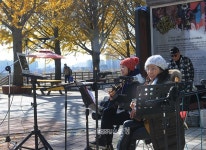 [포토뉴스]노란 동화 속 숲길...아산 은행나무 길