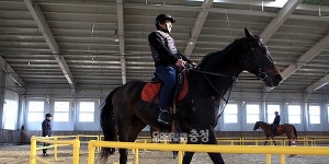 홍성군 직영 승마장 힐링 명소로 각광