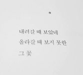 [임영호의 인문학 서재] 시를 읽는 것은 머리에서 가슴으로 가는 여행