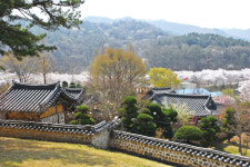 [우리고장 대전(大田) 이야기] 도학과 의리 정신을 실천한 개혁정치가