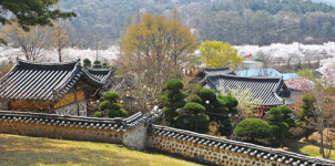 [우리고장 대전(大田) 이야기] 도학과 의리 정신을 실천한 개혁정치가