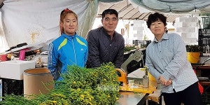 꽃으로 2억 대 매출 올린 부여 청년농업인의 비결