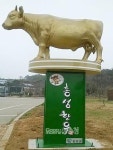 홍성군, 한우 경쟁력 강화 나선다