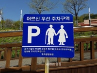 대전 중구, 뿌리공원 노인 우선 주차구역 조성