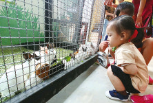 작은동물원 재리쥬가 생긴 이유가 있쥬