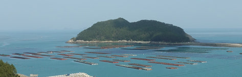 [김형규의 자전거 역사문화기행-느림의 미학 청산도 라이딩 ②] 나무늘보에게서 배우는 삶의 교훈