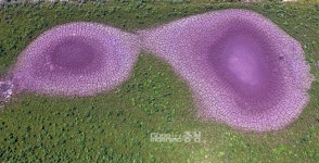 날씨의 아름다움과 무서움, 한밭도서관에서 한 눈에