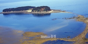 보령 무창포 바닷길 열린다