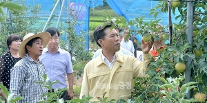 박정현 부여군수-군의회, 폭염 피해 현장 살펴
