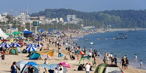 대천해수욕장 관광객 전년 대비 30% 감소