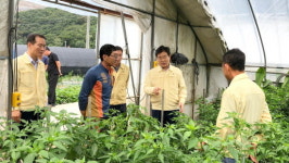 김홍장 당진시장, 태풍대비 주요시설 현장 점검