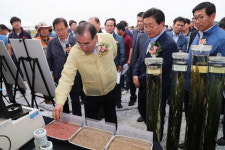 당진시, 사료용 벼 생산 시연회