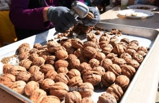 [포토뉴스]천안 명물 호두축제…세계가 인정한 슈퍼 푸드(Super Food)