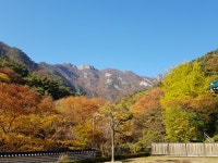 이번 주말 계룡산으로 단풍구경 오세요